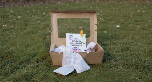 Infusión Flor De Manzanilla formato individual